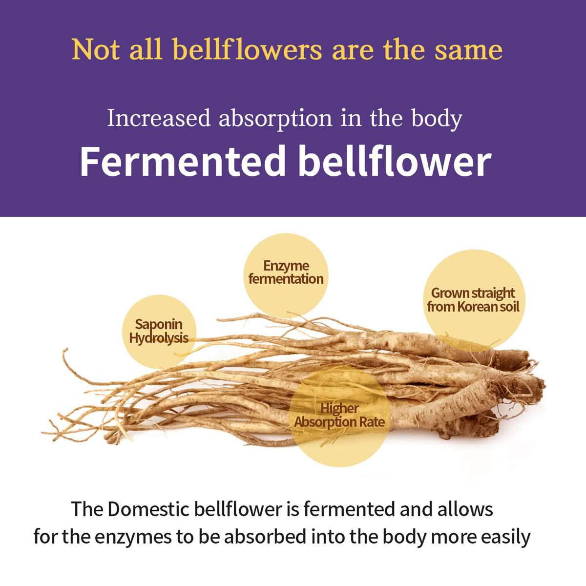 SAMSIDAE Korean Bellflower Root Juice with Pear & Quince (10ml × 30) – Naturally Sweet, Fiber-Rich Daily Drink