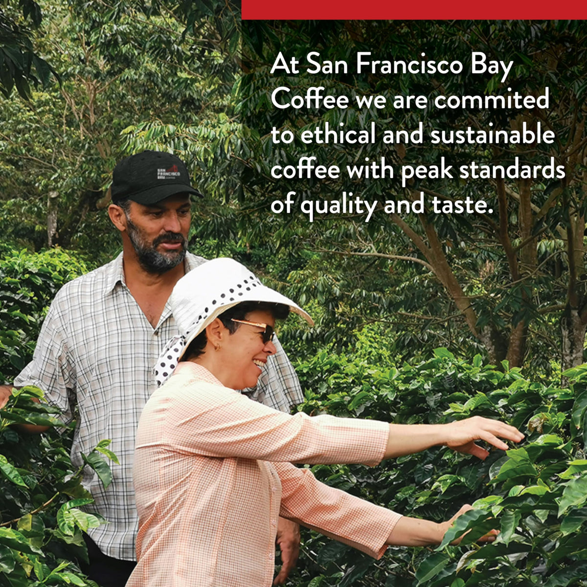 San Francisco Bay Espresso Roast Compostable OneCup Pods, 36 Ct — Keurig 2.0 Compatible