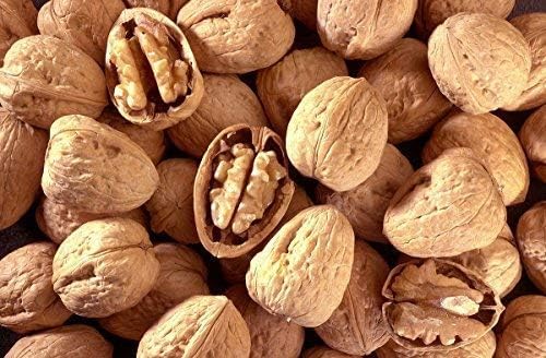 Sanmac Farms Walnuts In-Shell (Whole) – 5 lb Bag | Fresh & Flavorful