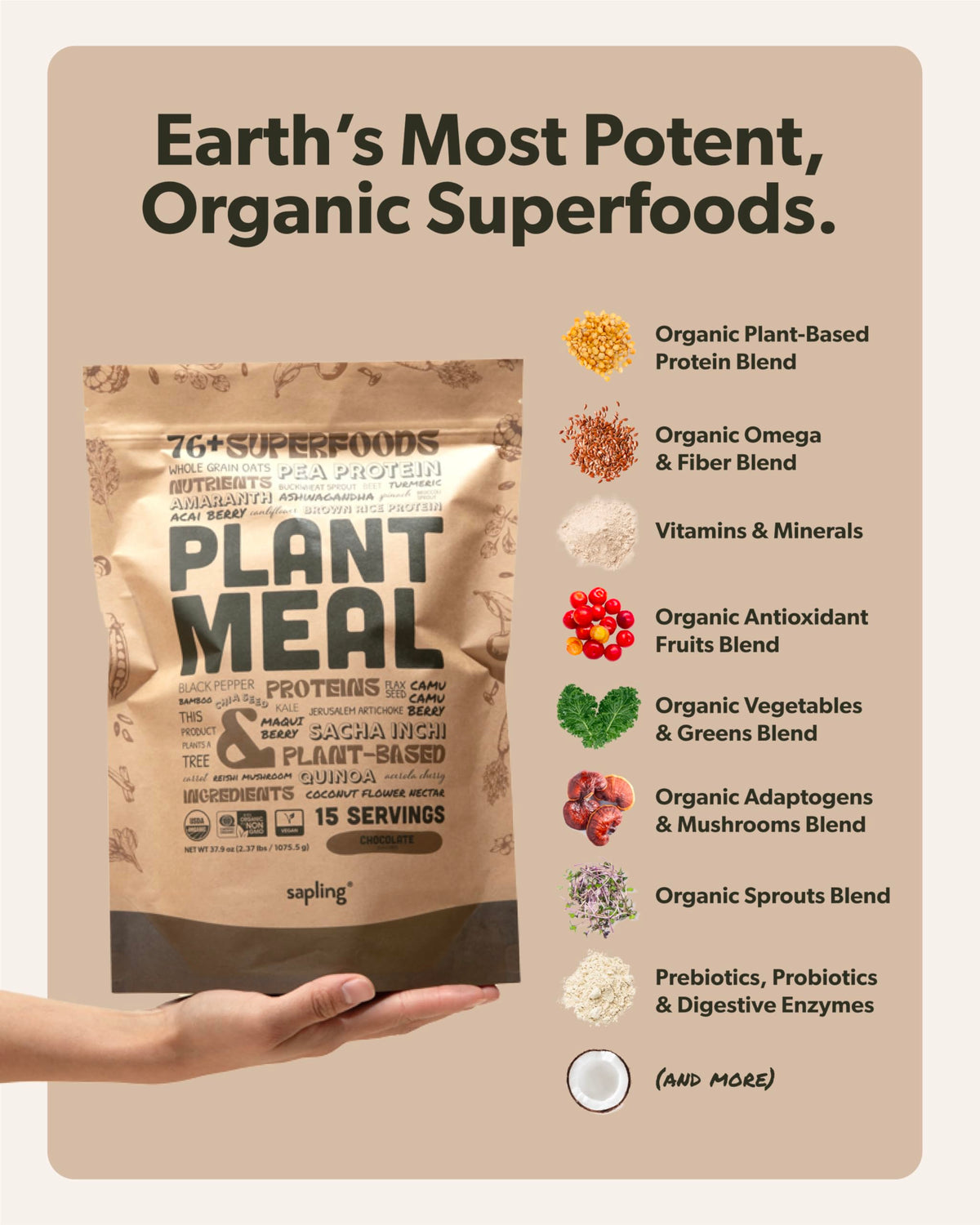 Sapling Plant Meal Replacement Shake - Chocolate | 25g Plant-Based Protein, 76+ Organic Superfoods, 15 Servings