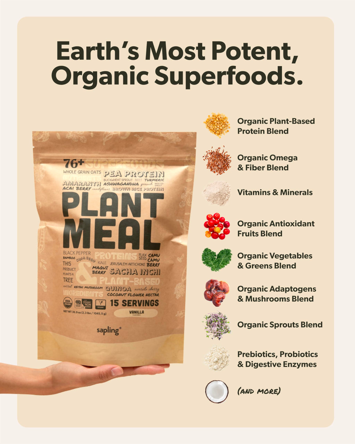 Plant Meal Replacement Shake - Vanilla | 25g Plant-Based Protein + 76+ Organic Superfoods