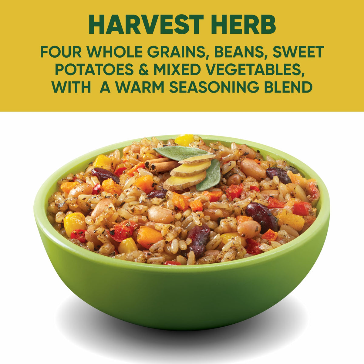 SEEDS OF CHANGE Organic High Protein Bowl Harvest Herb – 9 oz, Microwave Ready (Pack of 6)