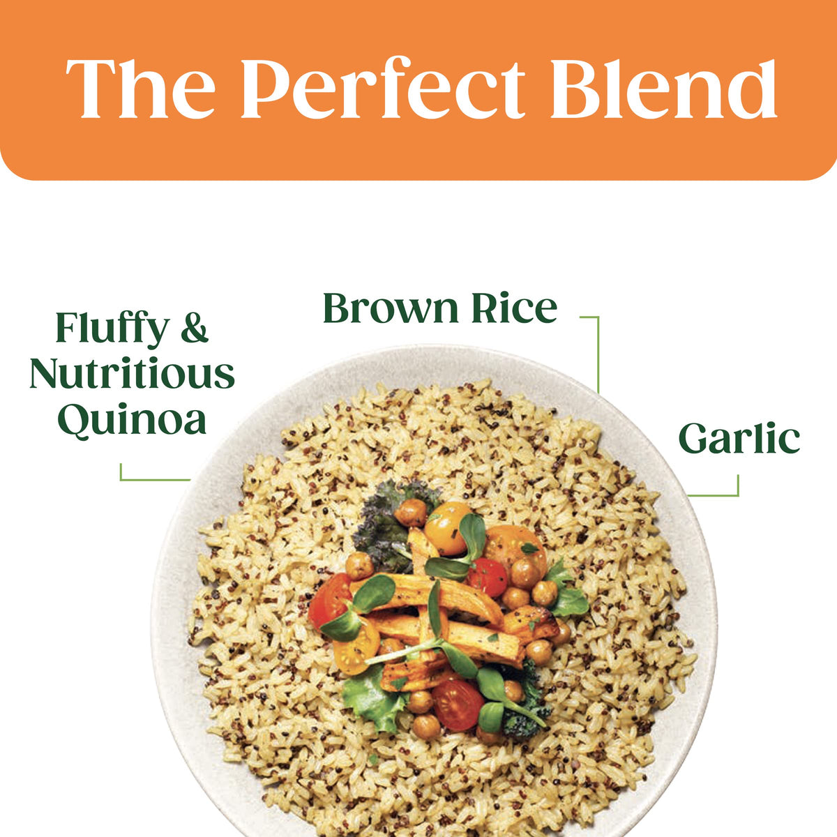 SEEDS OF CHANGE Organic Quinoa & Brown Rice with Garlic – 8.5 oz, Pack of 12