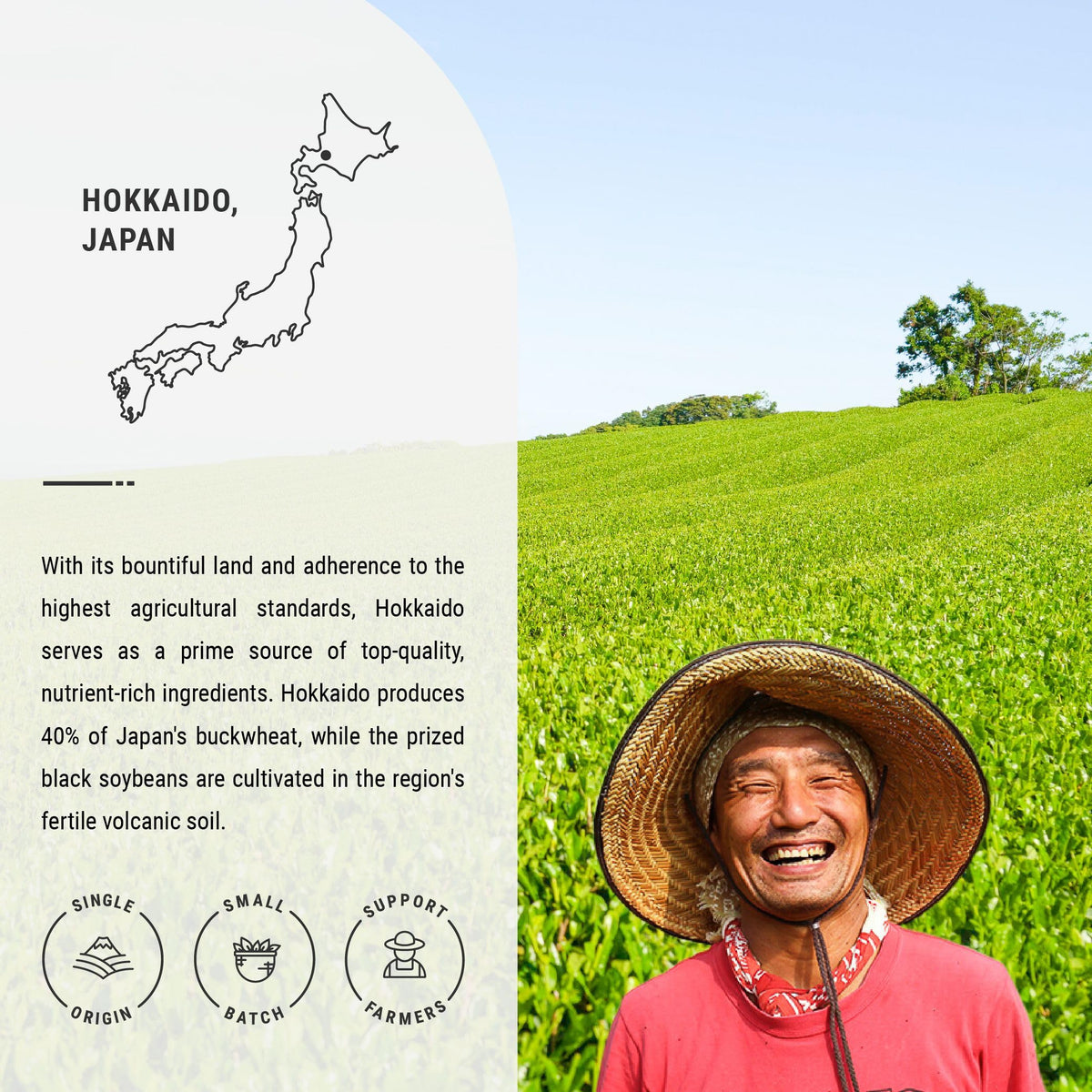 Senbird Premium Kuromamecha – Japanese Black Soybean Tea from Hokkaido (5.3oz Tin)