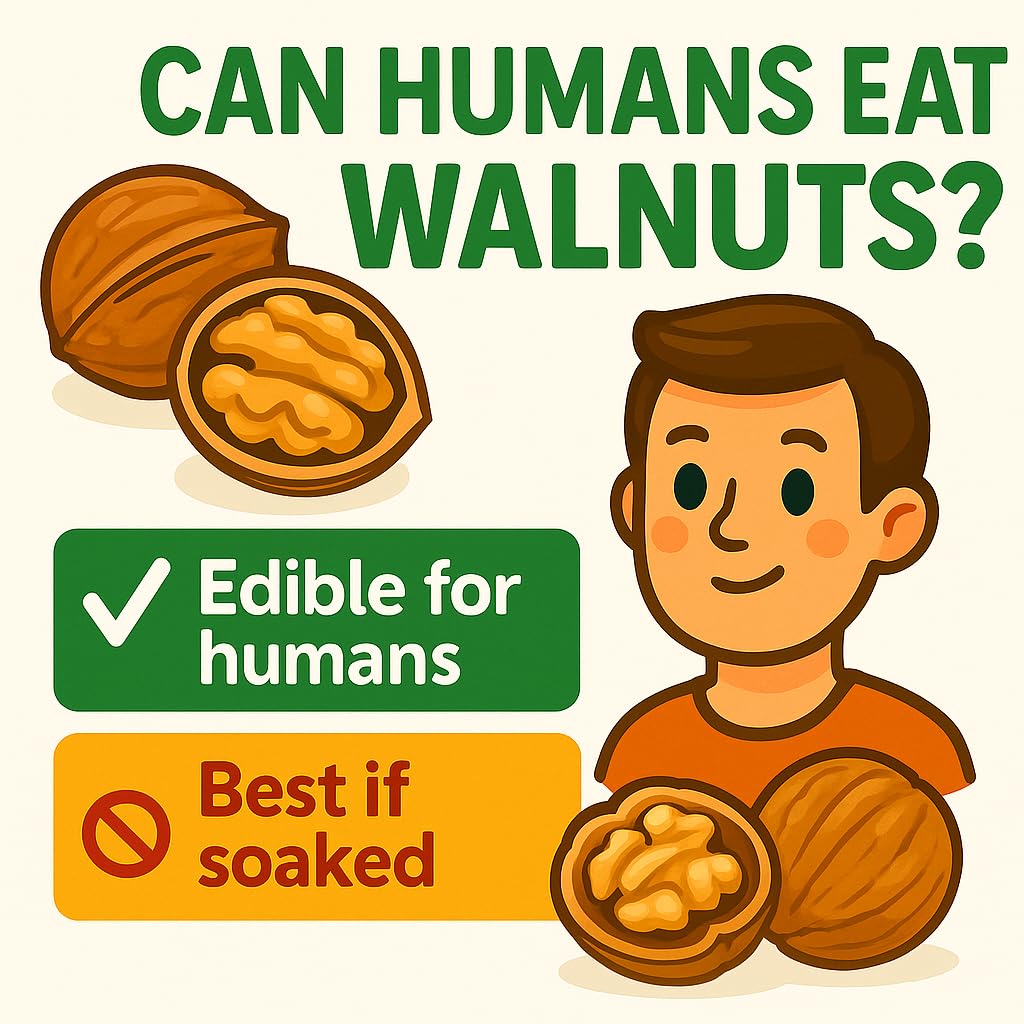 Sky Ecommerce Crazy Nuts | California Grown Walnuts In Shell, 5lb
