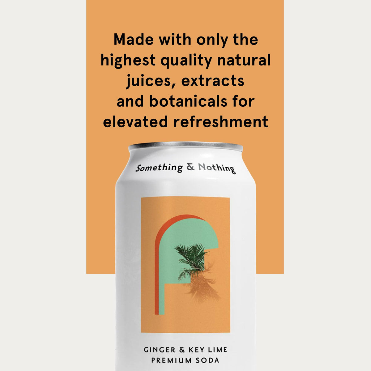 Something & Nothing Ginger & Lime Flavoured Sparkling Water – Lightly Carbonated, Full-Flavoured with Grape & Lemon Juice | Vegan & Low Calorie Soda | 12 Can Pack