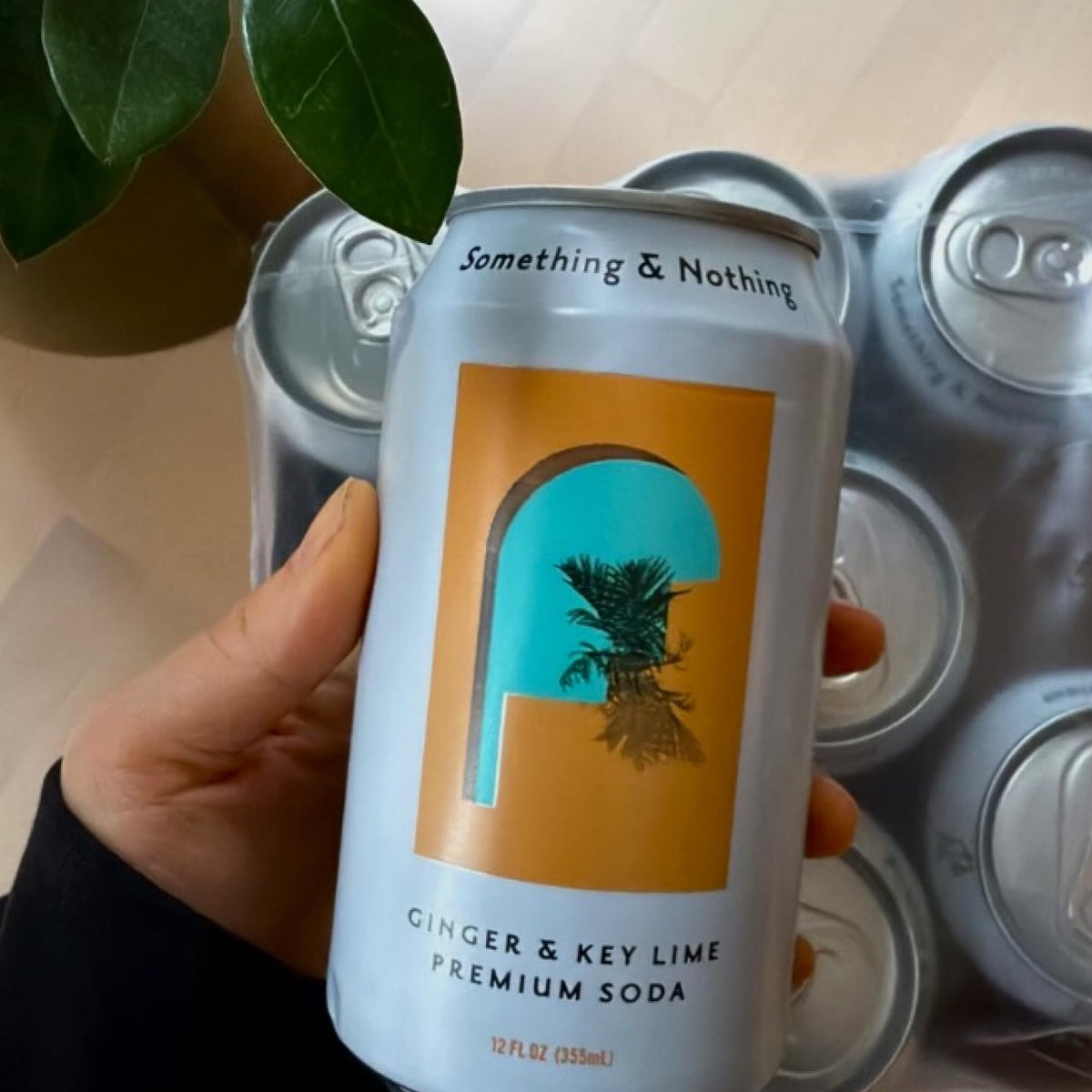 Something & Nothing Ginger & Lime Flavoured Sparkling Water – Lightly Carbonated, Full-Flavoured with Grape & Lemon Juice | Vegan & Low Calorie Soda | 12 Can Pack