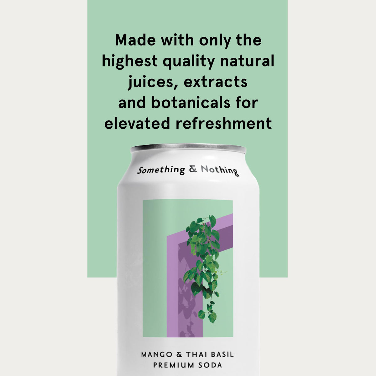 Something & Nothing Mango & Thai Basil Flavored Sparkling Water | Lightly Carbonated & Full of Flavor with Added Grape & Lemon Juice | Vegan & Low Calorie Premium Soda | 12 Fl Oz Cans (Pack of 12)