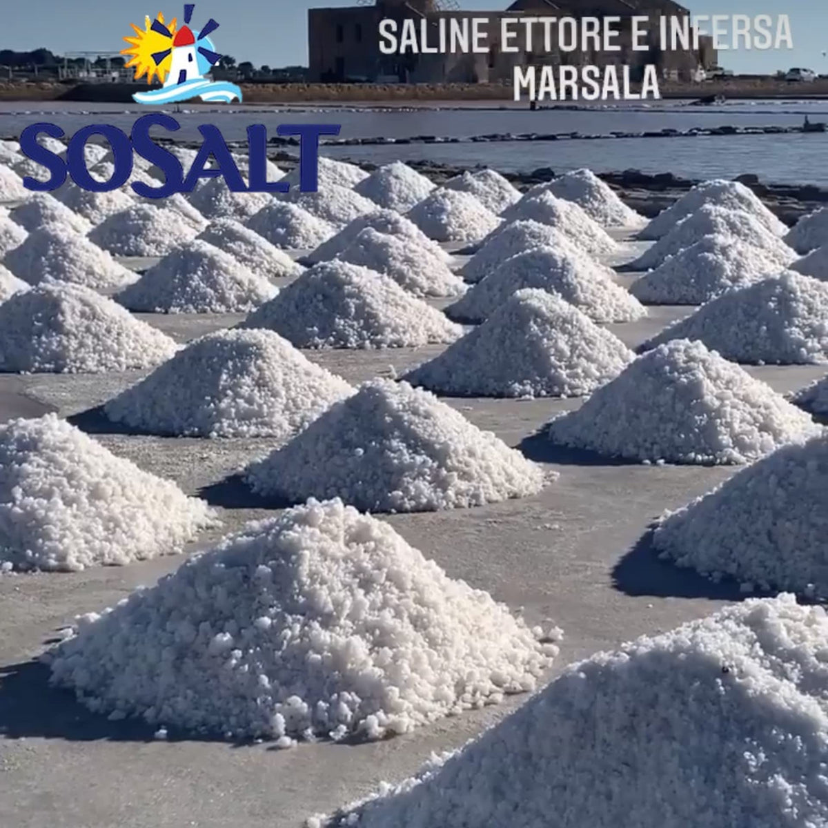 SOSALT DAL MARE DI TRAPANI Coarse Sicilian Sea Salt – Bulk 12.5 kg, Kosher OU, Trapani, Sicily