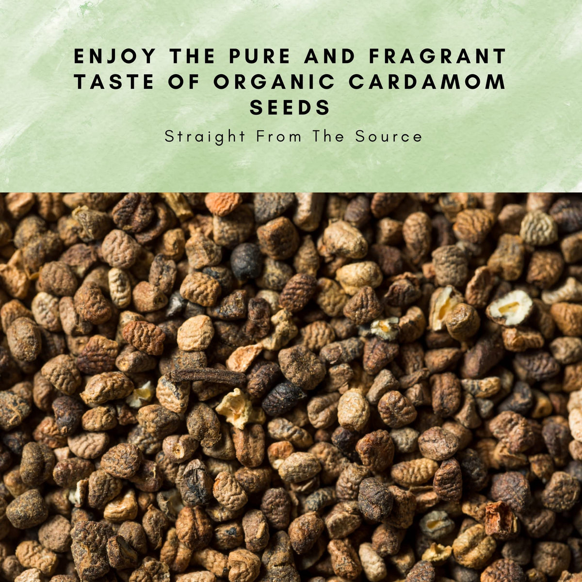 SPICY ORGANIC Decorticated Cardamom Seeds, 16 oz – 100% USDA Organic | Elevate Beverages, Curries, and Baked Goods