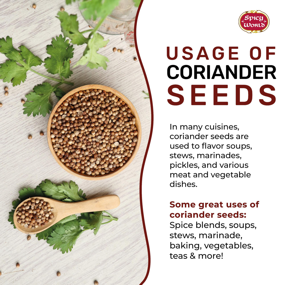 Spicy World Coriander Seeds – 5 lb Bulk (Pure Indian Spice)