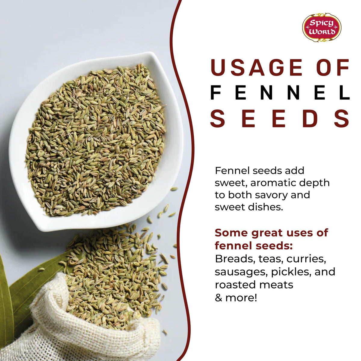 Spicy World Fennel Seeds 5 lb Bulk Jar – Whole Sweet Fennel for Cooking, Tea & Fresh Powder