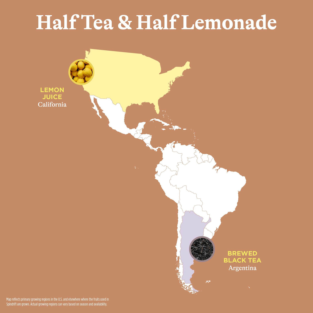 Spindrift Half Tea & Half Lemon Sparkling Water – Real Lemon, Real Tea, 5 Calories