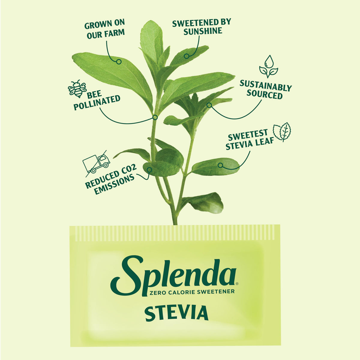 SPLENDA Stevia Zero Calorie Sweetener – Plant-Based Granulated Powder & Single-Serve Packets (1000 Count)