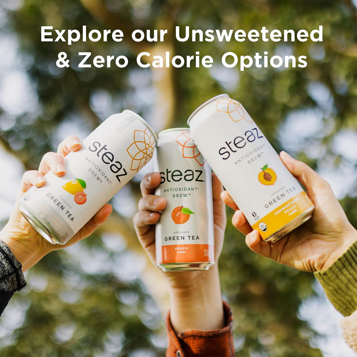 Steaz Organic Green Tea Superfruit (12 Pack) – Antioxidant Brew, 65mg Caffeine