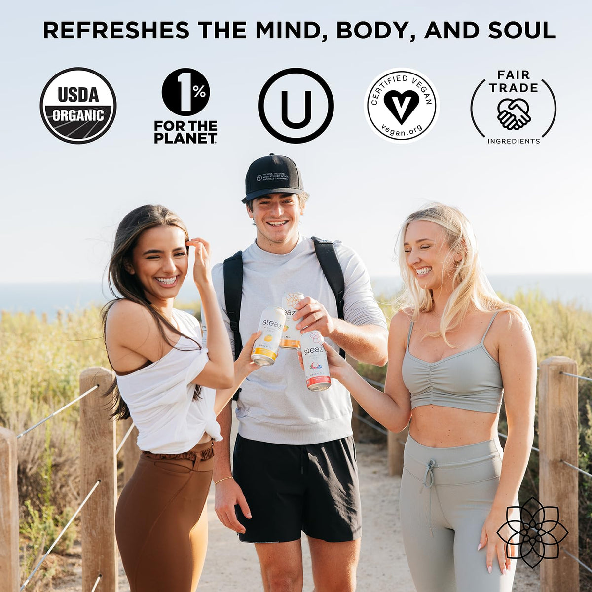 Steaz Organic Green Tea - Blueberry Pomegranate (12 Pack) | Antioxidant Brew, 65 mg Caffeine, 90 Calories, Vitamin C, Vegan