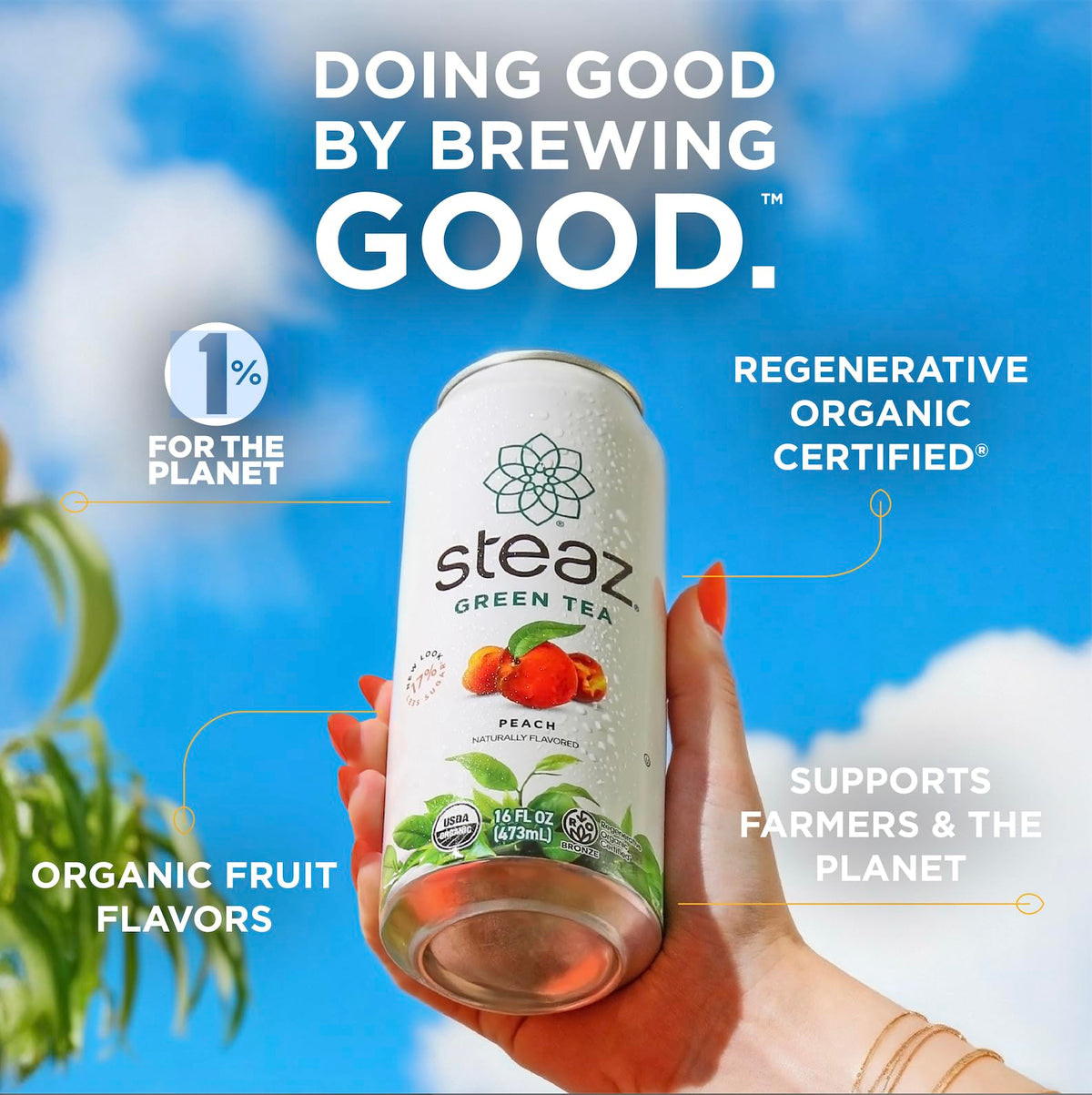 Steaz Zero Sugar Organic Green Tea - Peach Mango (12 Pack) | Regenerative Organic Certified