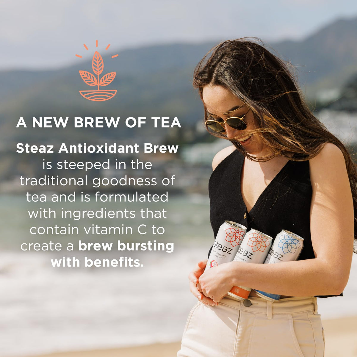 Steaz Organic Green Tea Raspberry Zero Calorie Iced Tea – 12 Pack