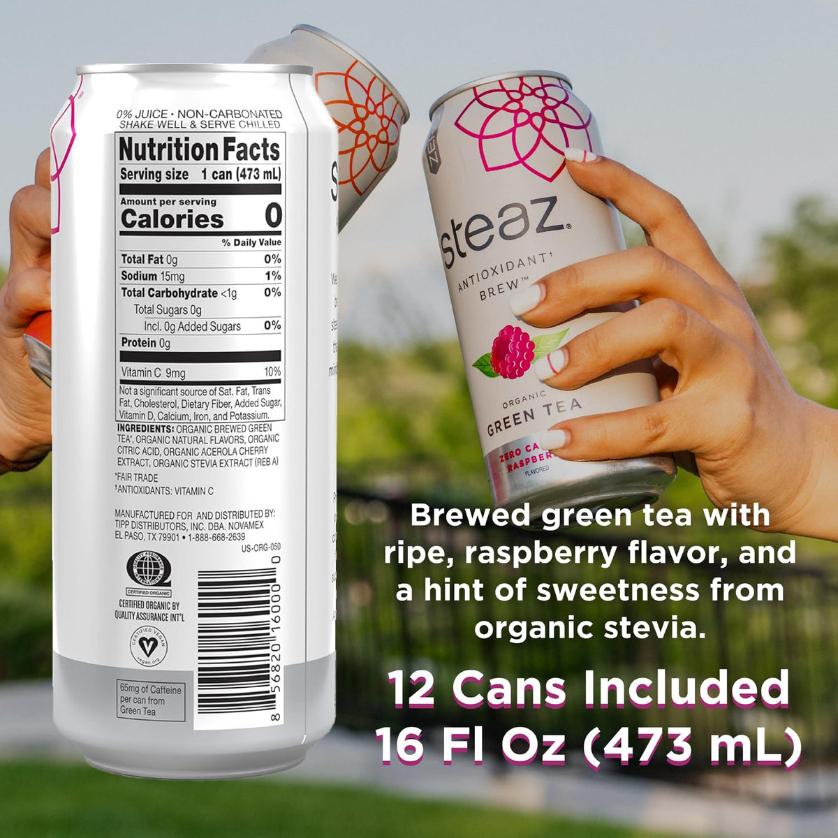 Steaz Organic Green Tea Raspberry Zero Calorie Iced Tea – 12 Pack