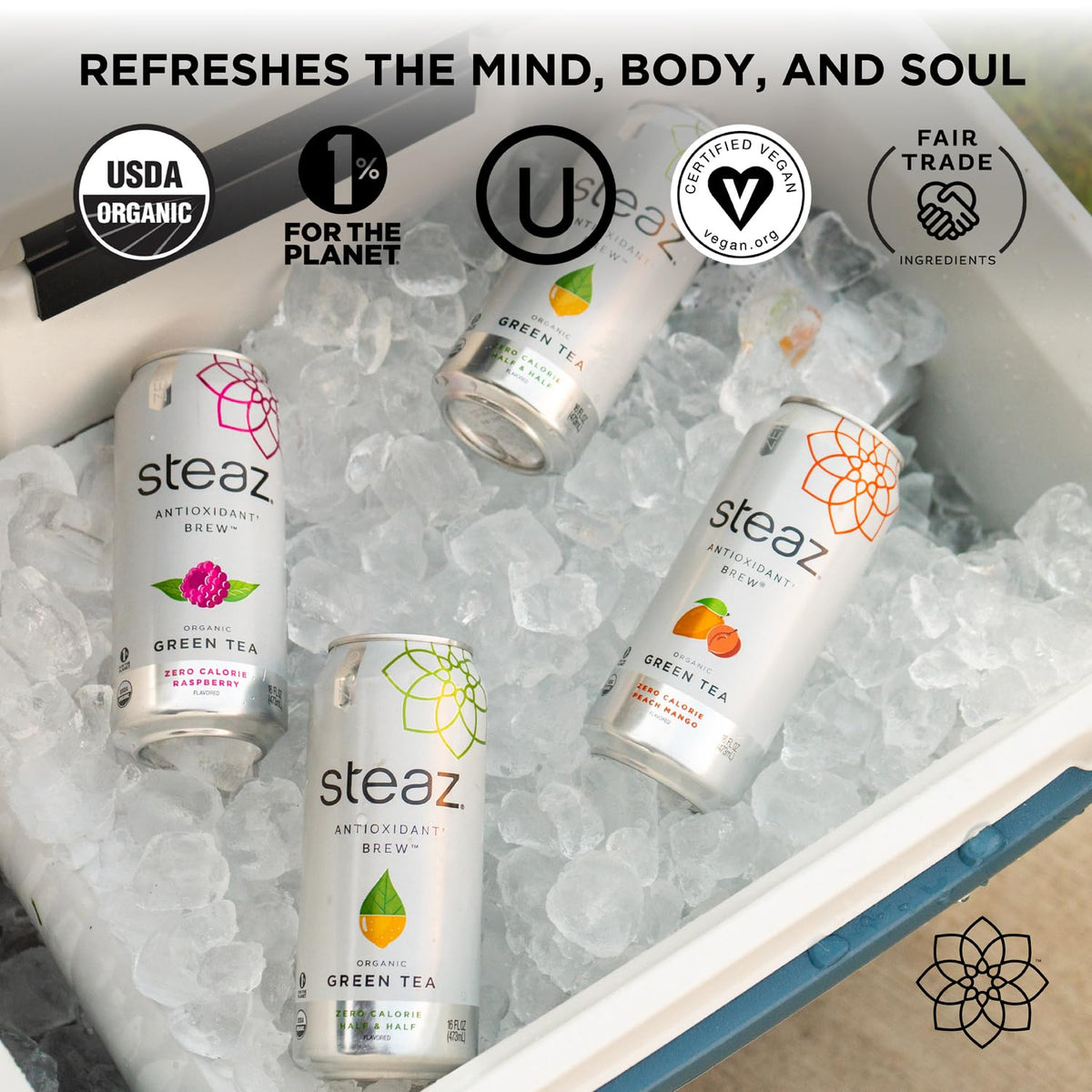 Steaz Organic Green Tea Raspberry Zero Calorie Iced Tea – 12 Pack