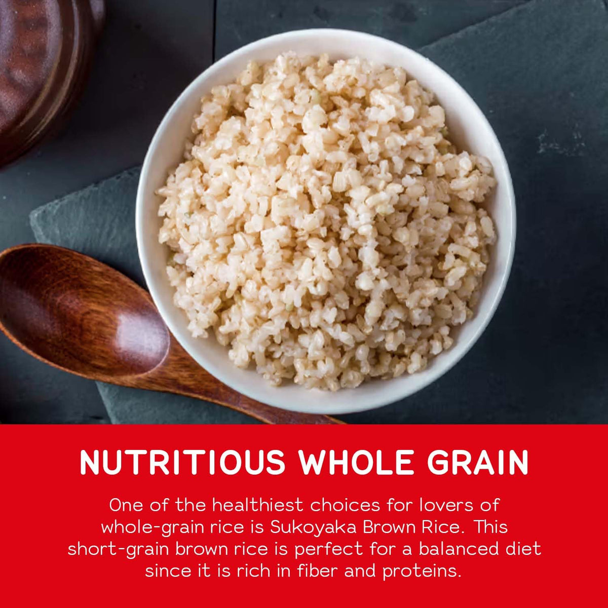 Sukoyaka SHIRAKIKU Brown Rice Genmai | Premium Short Grain, Fiber-Rich, 15 lb