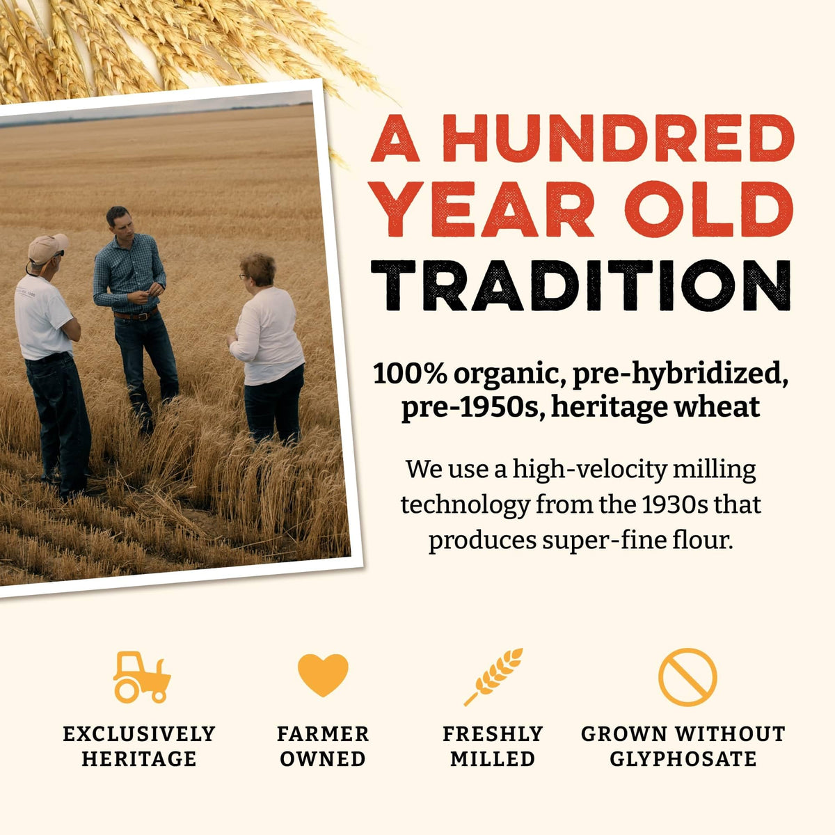 Sunrise Flour Mill Heritage Organic Whole Wheat Flour - 5 lbs | Freshly Milled, No Bleaching