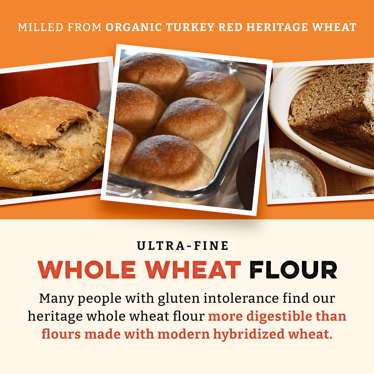 Sunrise Flour Mill Heritage Organic Whole Wheat Flour - 5 lbs | Freshly Milled, No Bleaching