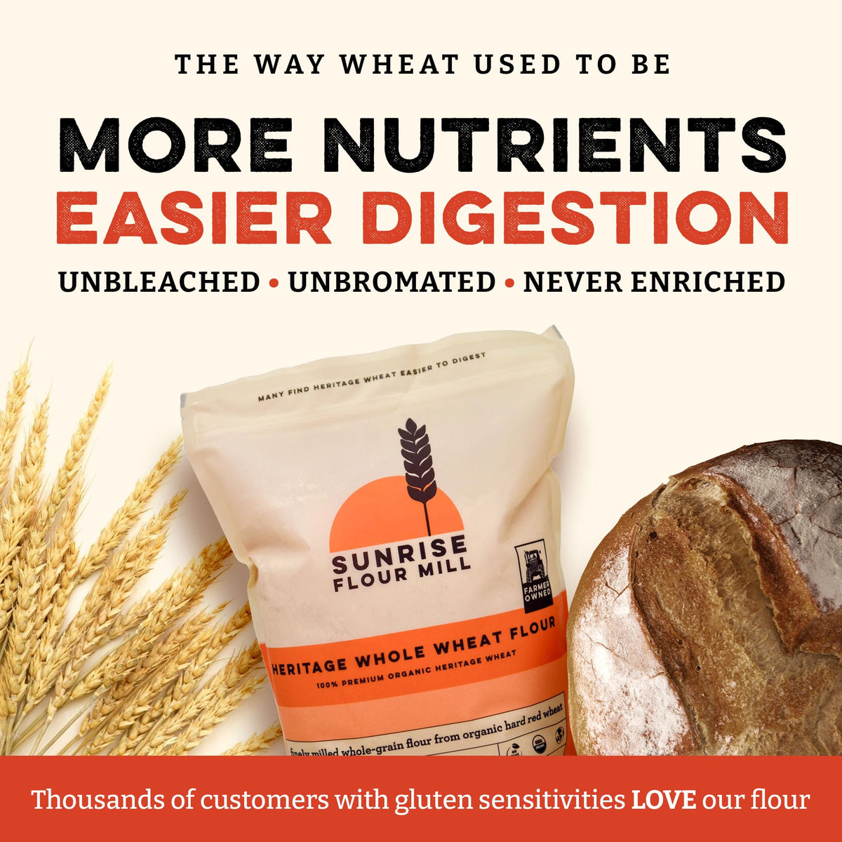 Sunrise Flour Mill Heritage Organic Whole Wheat Flour - 5 lbs | Freshly Milled, No Bleaching