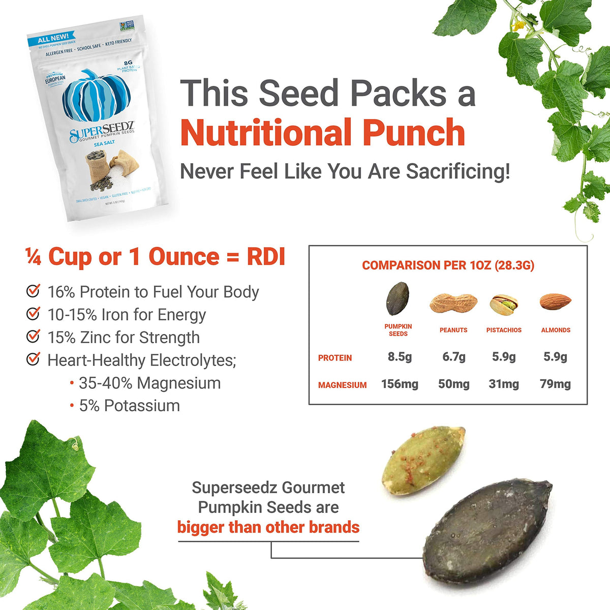 SuperSeedz Dry Roasted Pumpkin Seeds with Sea Salt – 8g Protein, Keto Snack (5oz) – 6 Pack