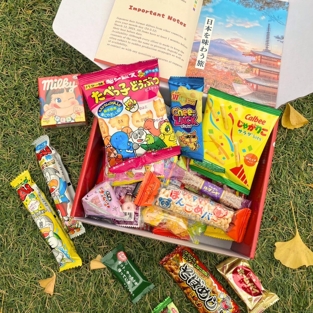 SurpriseBox Japanese Candy Box – 50 Dagashi Treats for Gifting