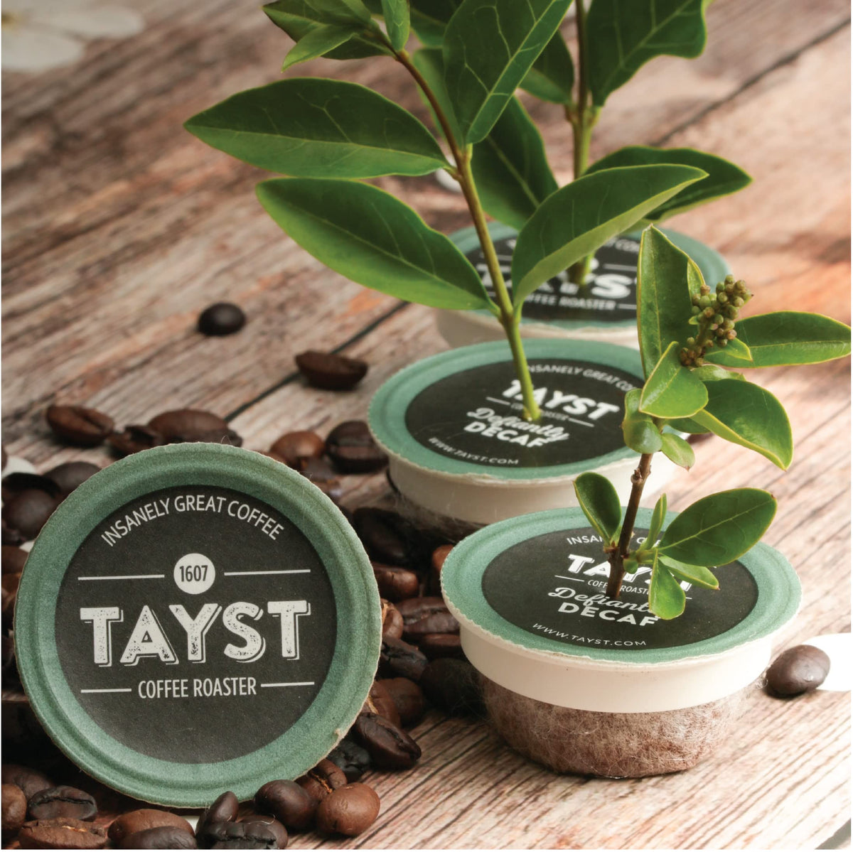 Tayst Coffee Pods – Bold & Brazen Dark Roast (K-Cup Compatible) | Sustainable Single-Serve, Pack of 30