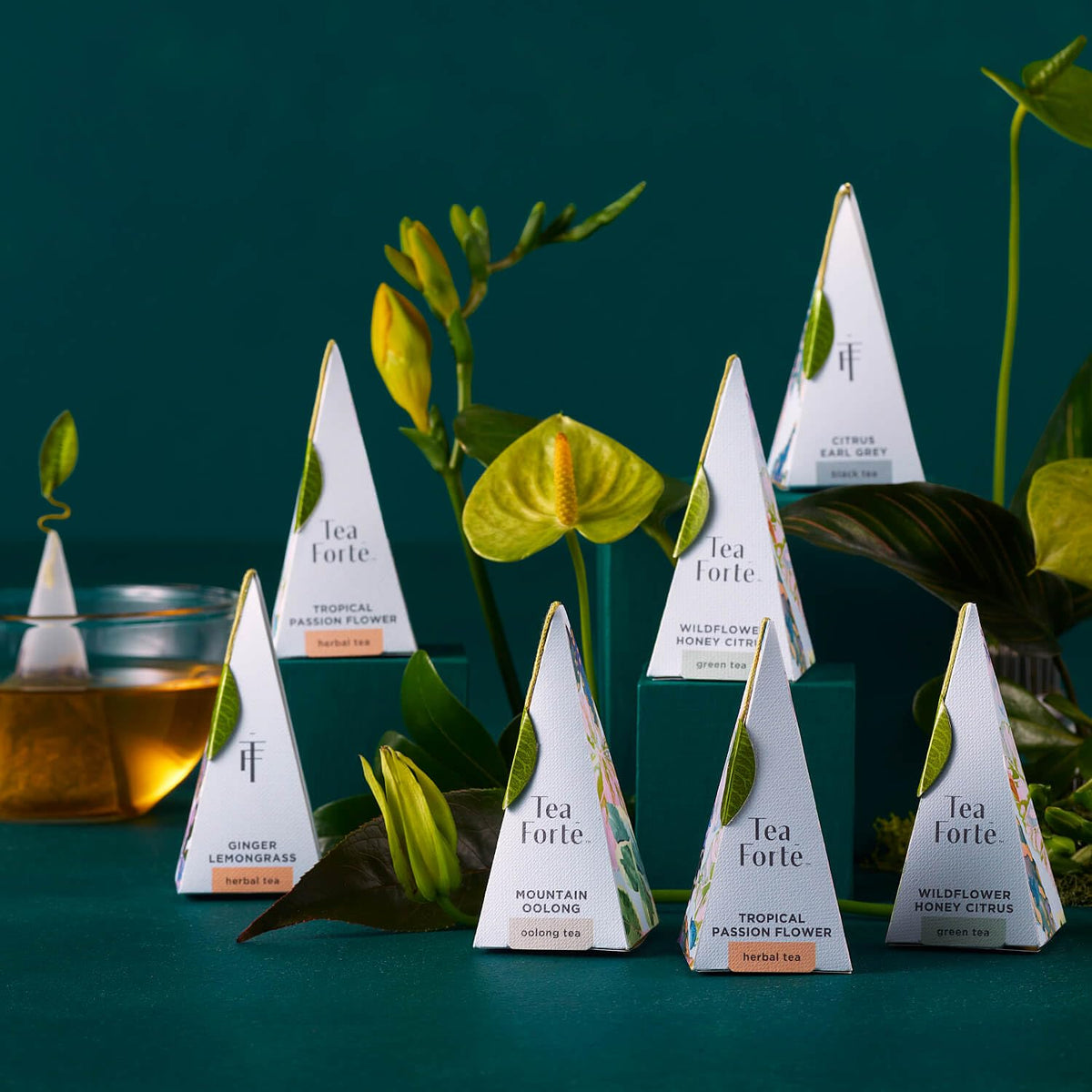 Tea Forte Premium Petite Gift Set Sampler – 10 Pyramid Teas, 2 of Each Blend