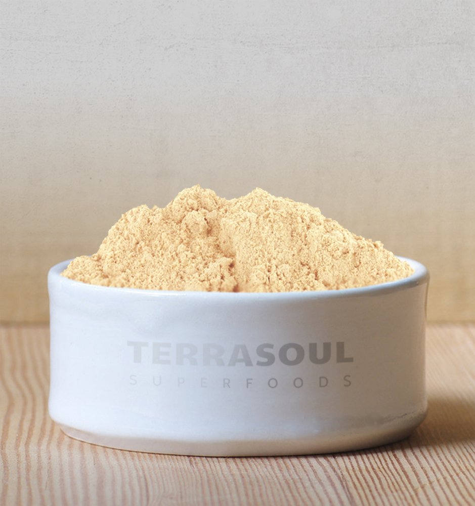 Terrasoul Superfoods Organic Ginger Powder – 2 Lbs (2 Pack) | Raw, Lab-Tested, Non-GMO