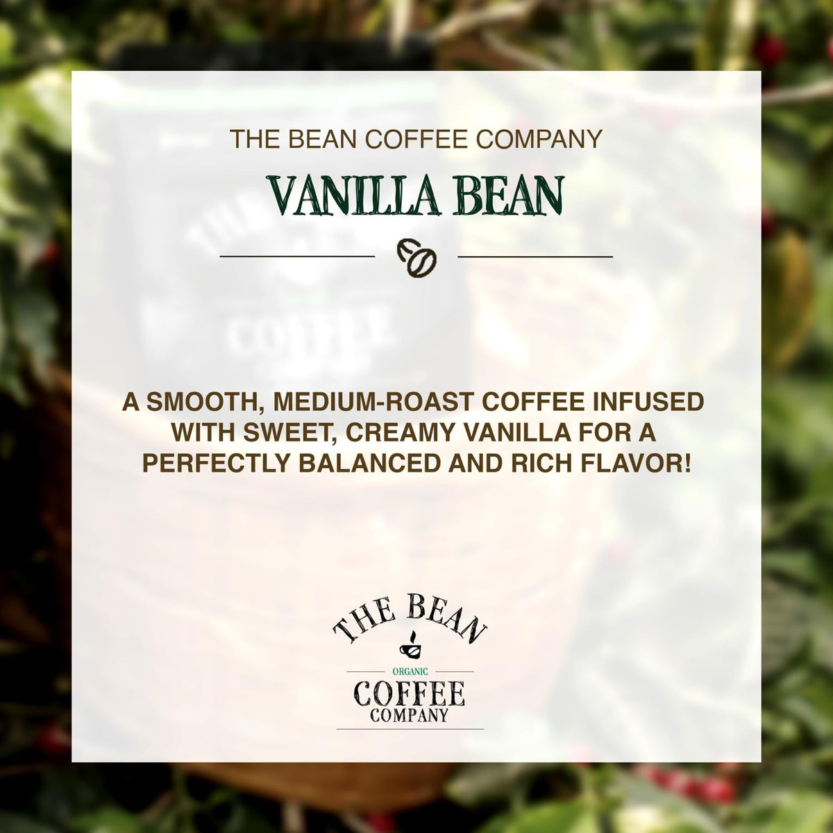 The Bean Organic Coffee Company Vanilla Bean – Medium Roast Ground Coffee, 16-Ounce Bag