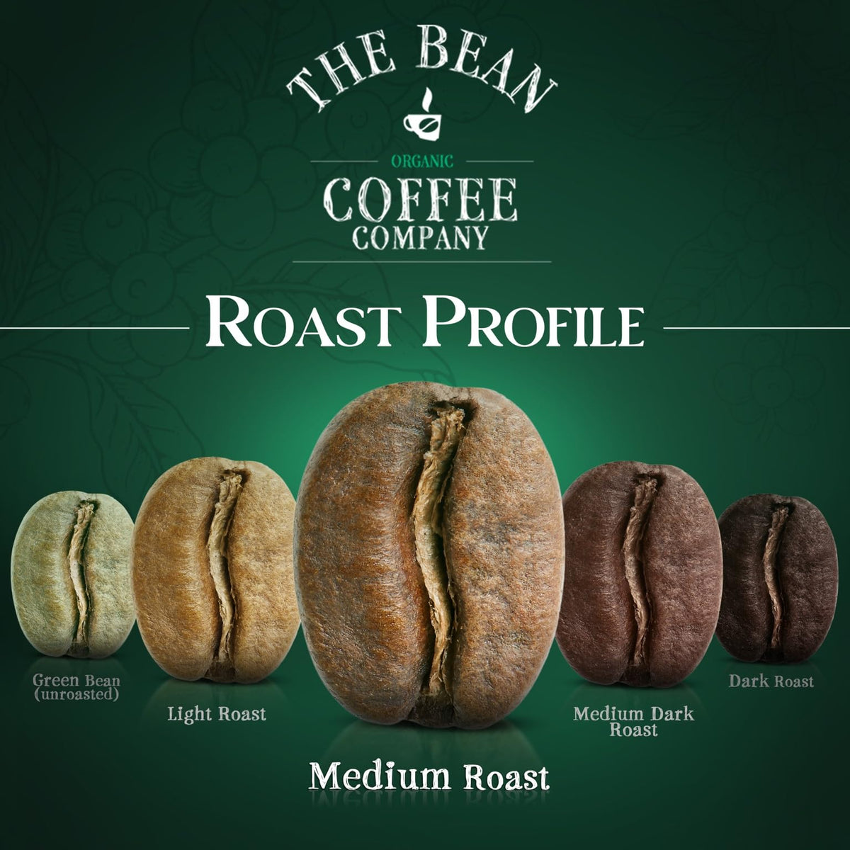 The Bean Organic Coffee Company Vanilla Bean – Medium Roast Ground Coffee, 16-Ounce Bag