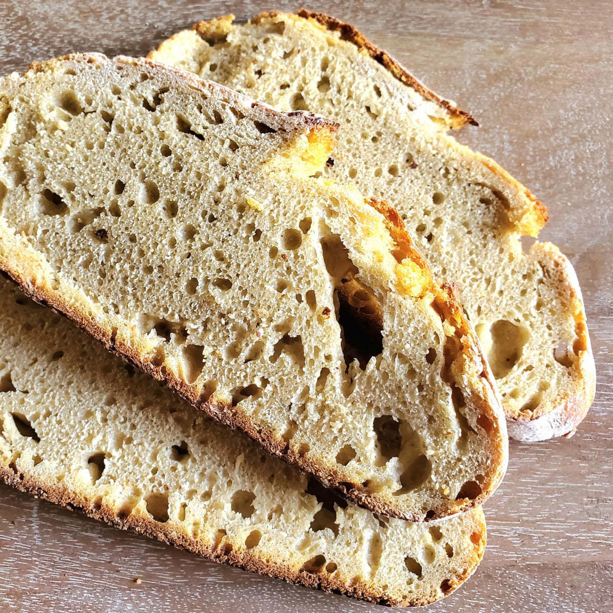 Einkorn Dehydrated Italian Sourdough Starter | The Sourdough Source | Low Maintenance, Double Batch