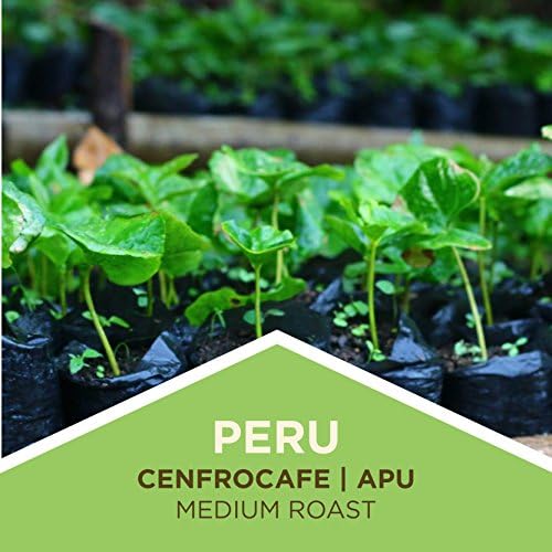 Tiny Footprint Coffee - Fair Trade Organic Peru APU Medium Roast (3 lb) - Carbon Negative