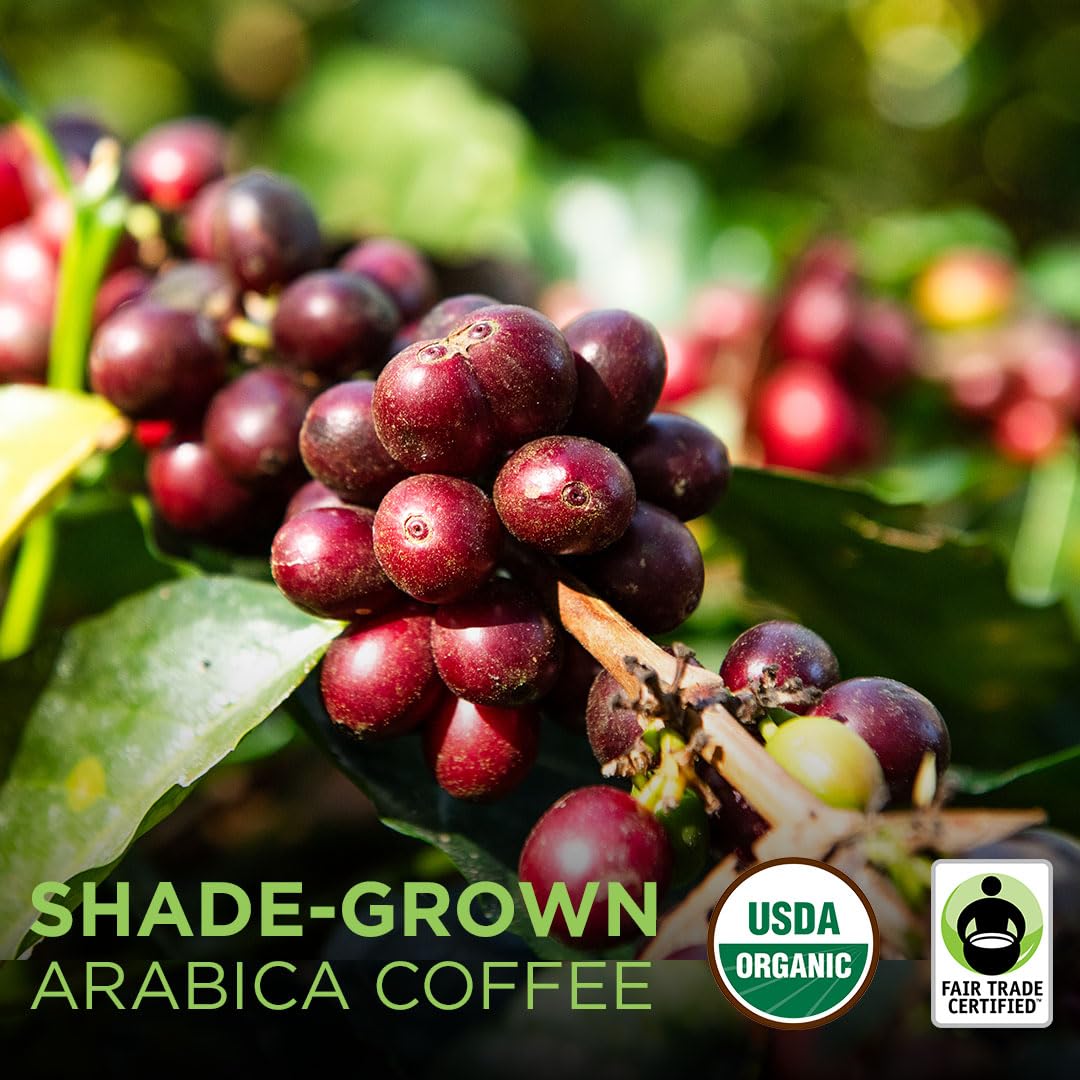 Tiny Footprint Coffee - Fair Trade Organic Peru APU Medium Roast (3 lb) - Carbon Negative