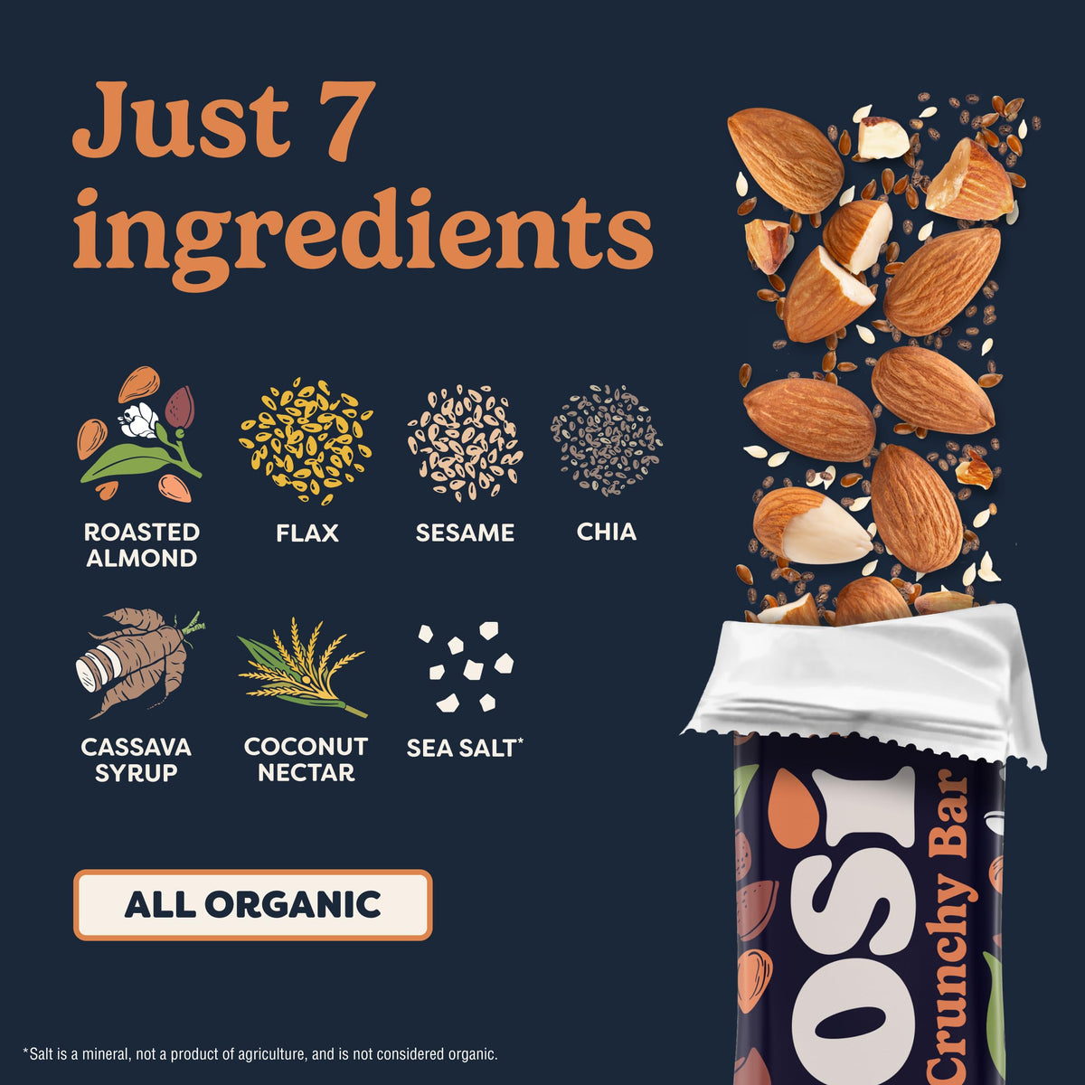 Tosi Almond Nut Bars – Organic Plant-Based Snack (1oz) | 5g Protein, Gluten & Soy Free, 12-Pack