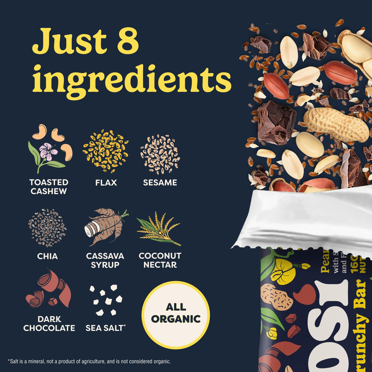 Tosi Meal Nut Bars - Peanut Dark Chocolate | 16g Plant-Based Protein, Vegan, Gluten & Soy Free, Low Sugar, 2.4oz, 12-Pack