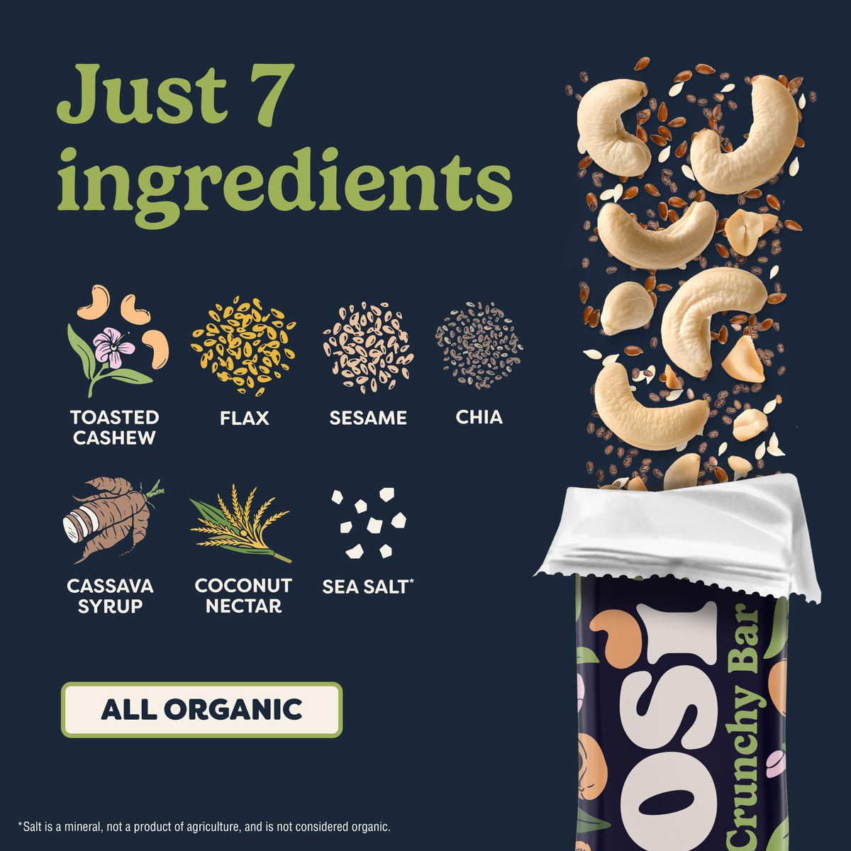 Tosi Nut Bars Cashew – Organic Plant-Based 1oz Snack | 6g Protein, Gluten Free, Vegan, Low Sugar, 12-Pack