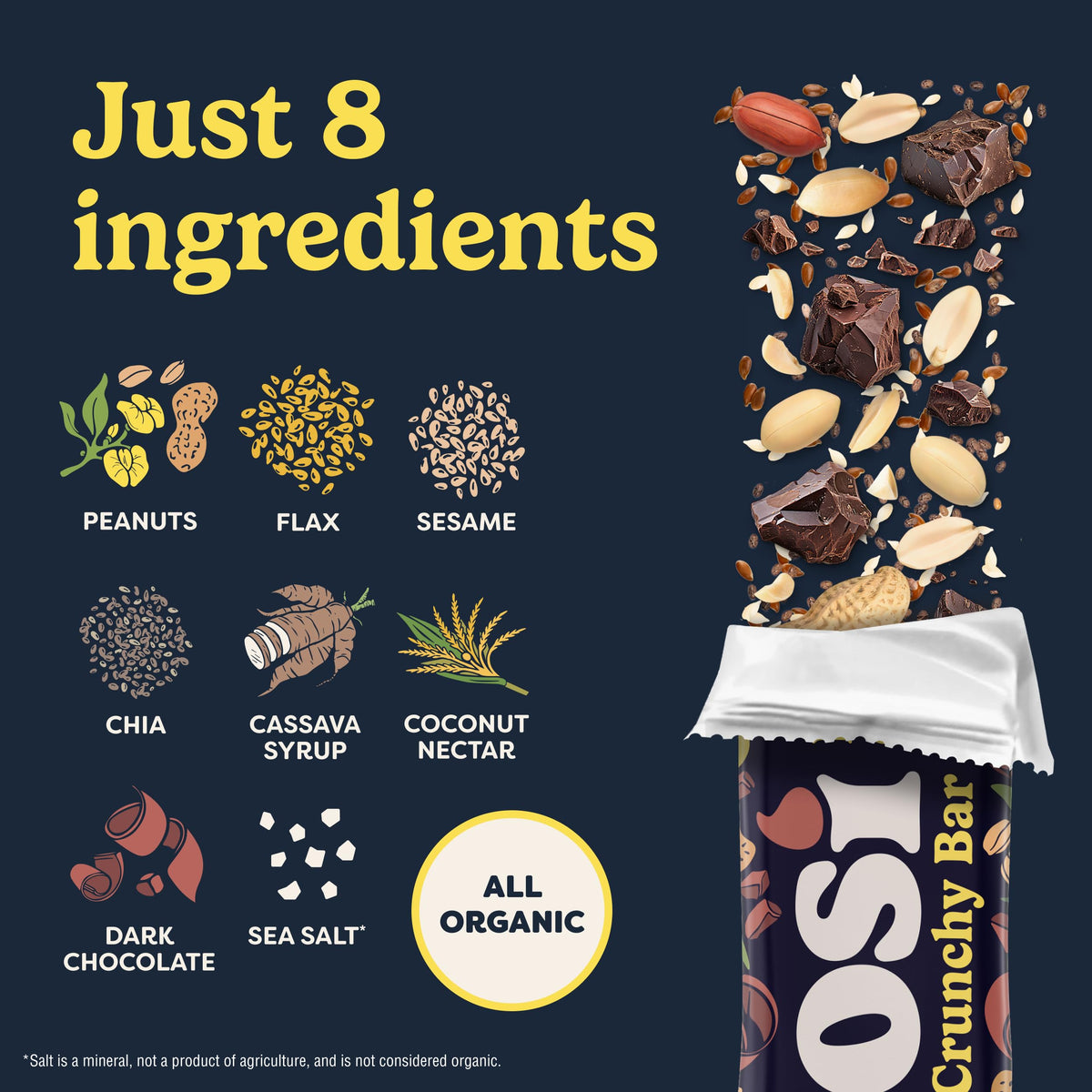 Tosi Nut Bars – Peanut Dark Chocolate, Plant-Based Organic Keto Snack, 1oz, 12-Pack