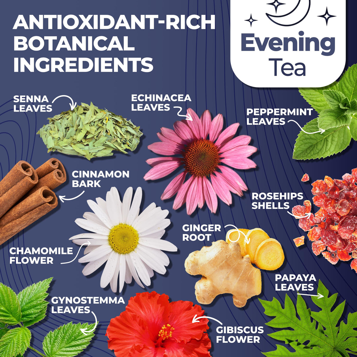 Total Tea Detox Tea & Energy Set – 25 Day Herbal Digestive Wellness Blend