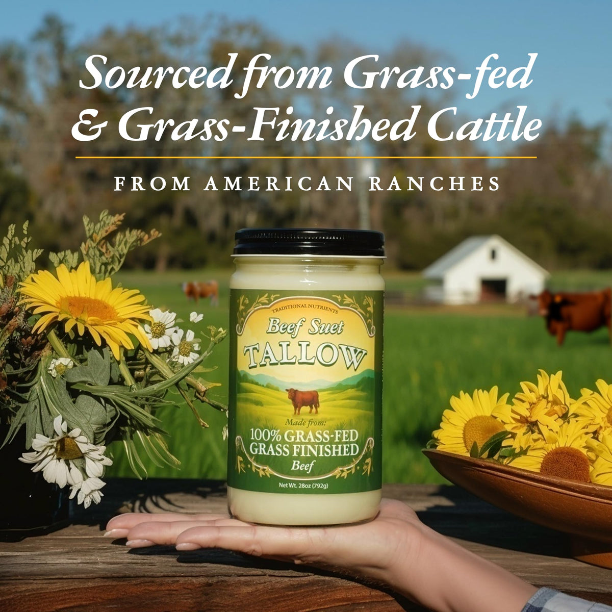 TRADITIONAL NUTRIENTS Pasture Raised Beef Tallow – Grass-Fed & Grass-Finished, 28 oz Jar