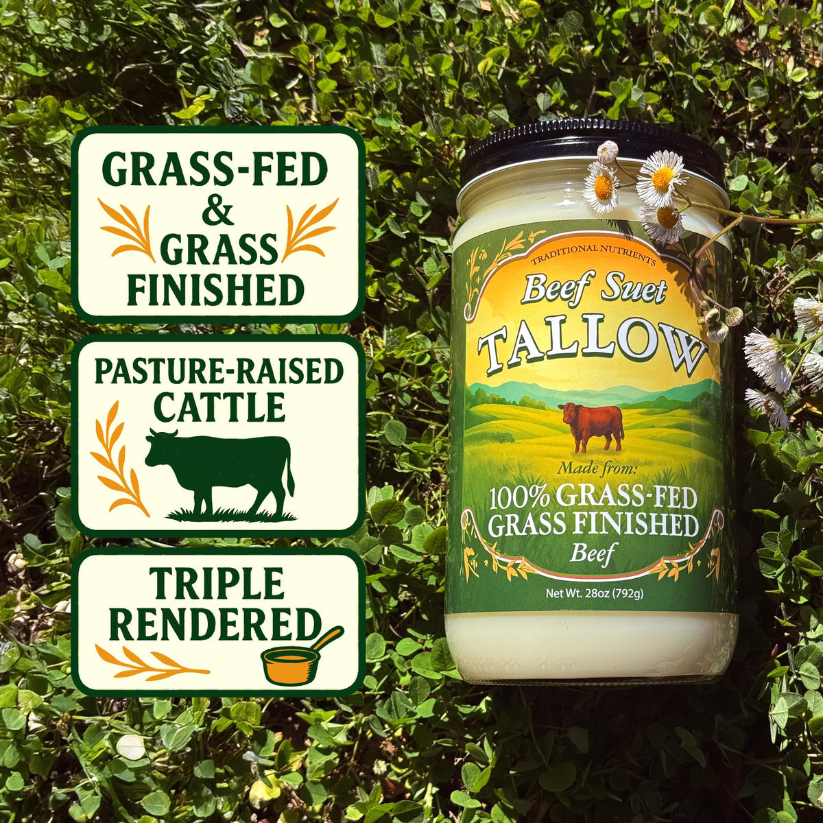 TRADITIONAL NUTRIENTS Pasture Raised Beef Tallow – Grass-Fed & Grass-Finished, 28 oz Jar