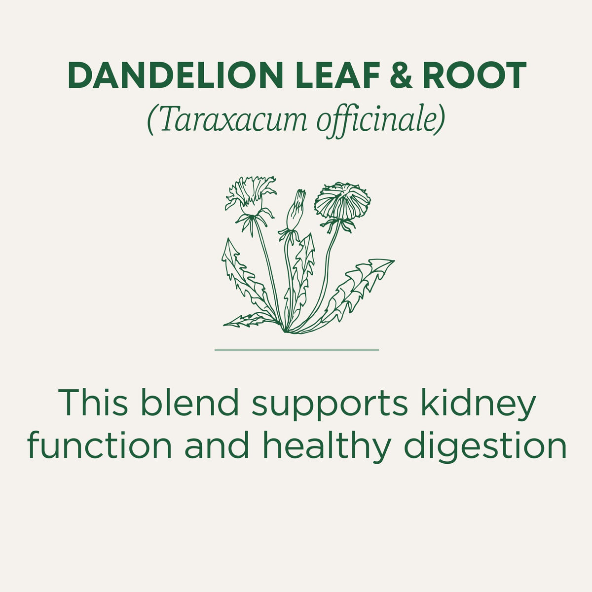 Traditional Medicinals Organic Dandelion Leaf & Root Tea – Detox & Digestion, 96 Bags