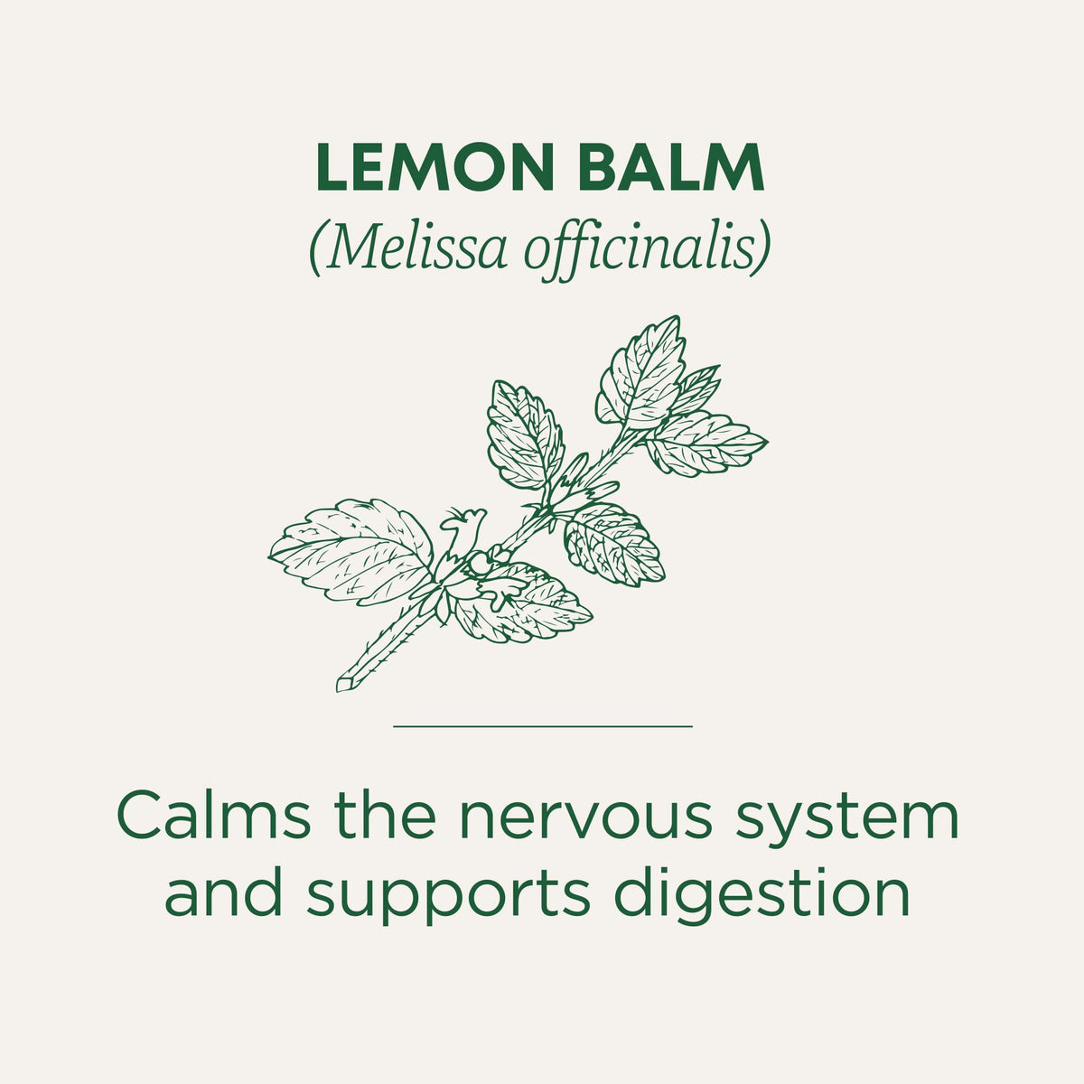 Traditional Medicinals Organic Lemon Balm Herbal Tea (6 Pack) – 96 Tea Bags Total – Stress Relief & Digestive Support
