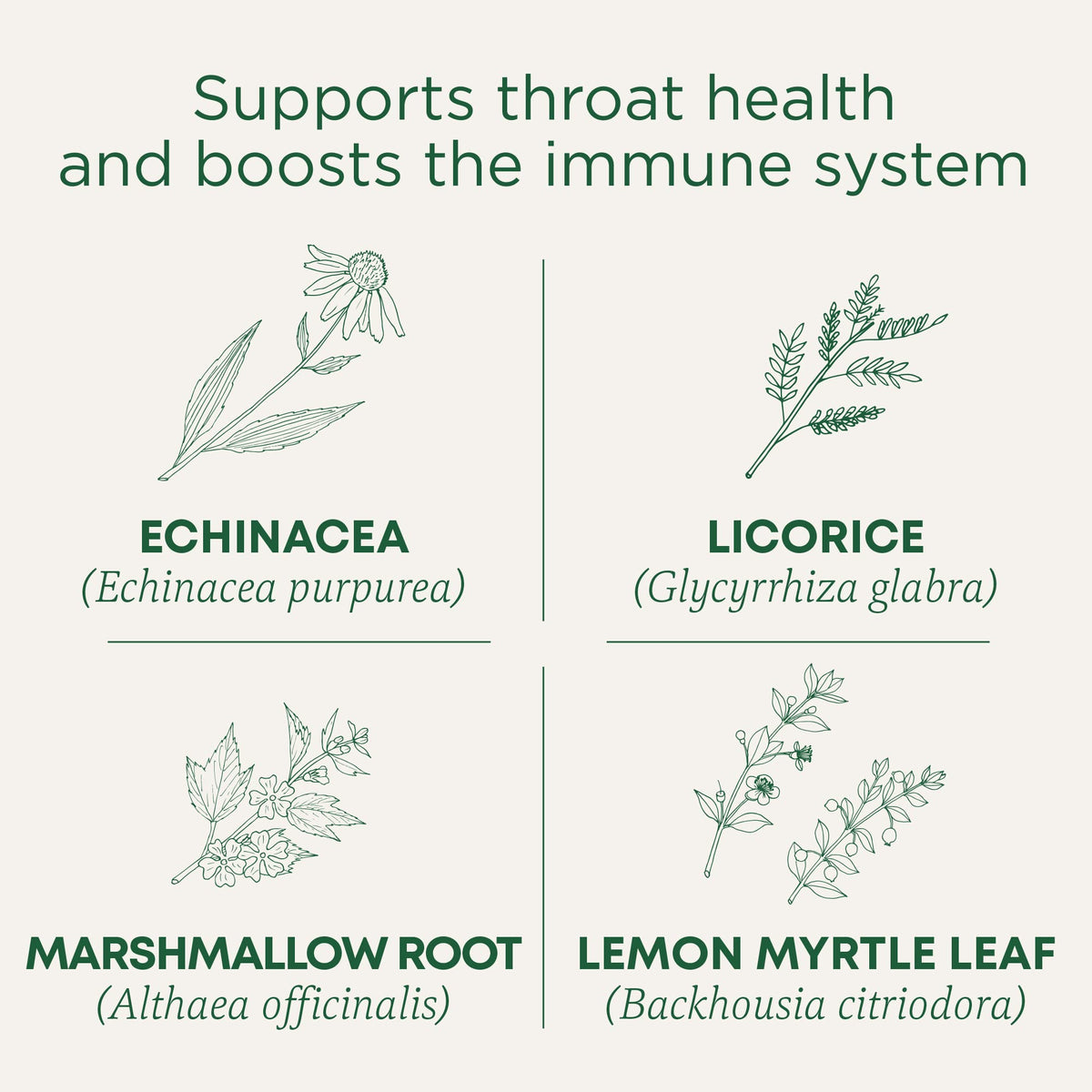 Traditional Medicinals Tea, Organic Throat Coat Lemon Echinacea, 96 Tea Bags (6 Pack)