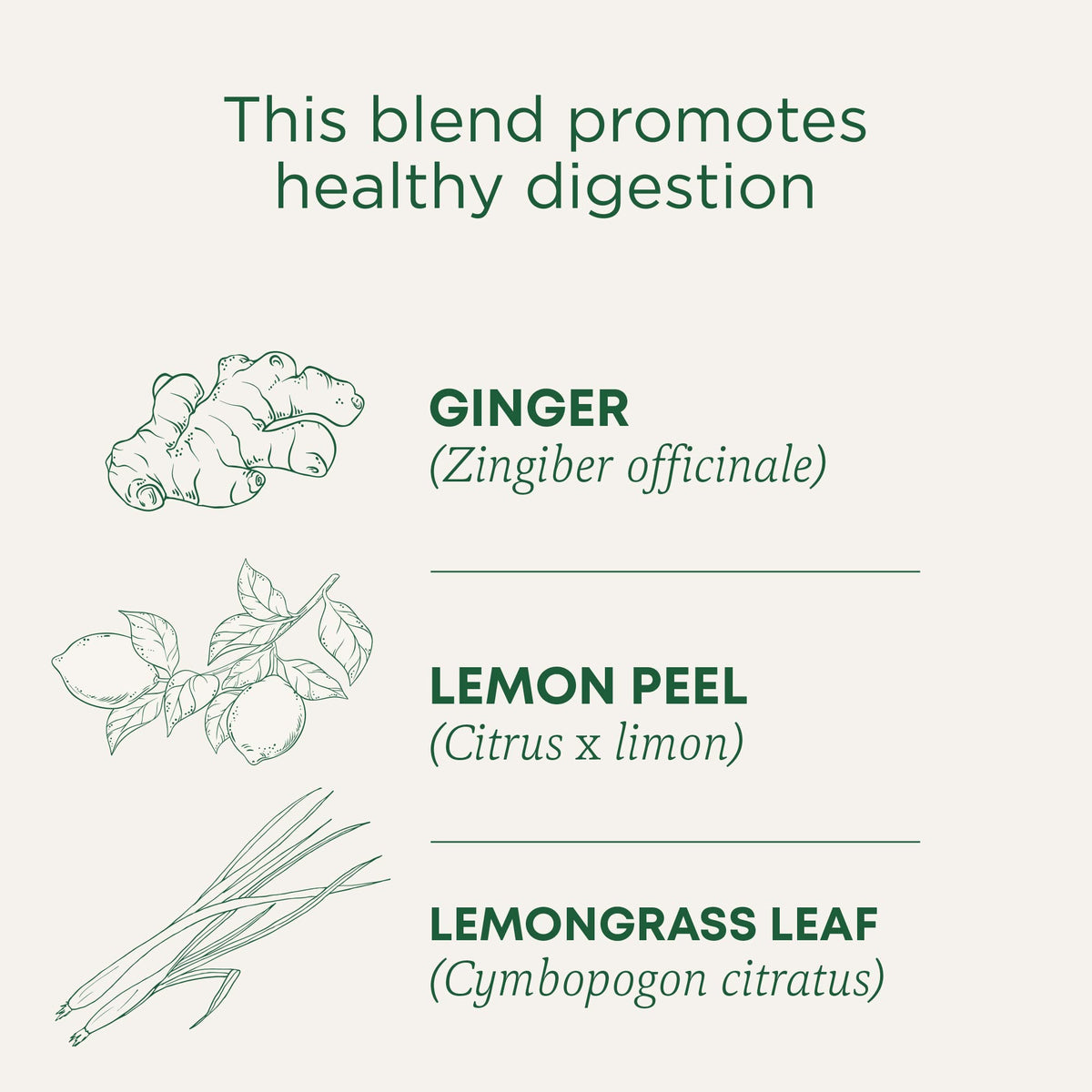 Traditional Medicinals Organic Lemon Ginger Herbal Tea – Digestive Comfort, Caffeine-Free, Kosher & Non-GMO, Compostable Tea Bags (96 Count, Pack of 6)