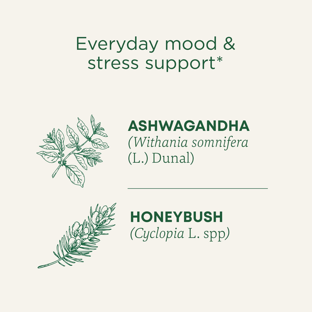 Traditional Medicinals Organic Stress Ease Calm with Adaptogens, Ashwagandha & Honeybush – Relaxation Tea, Kosher, Non-GMO, Caffeine-Free, Compostable – 96 Tea Bags (6 Packs of 16)